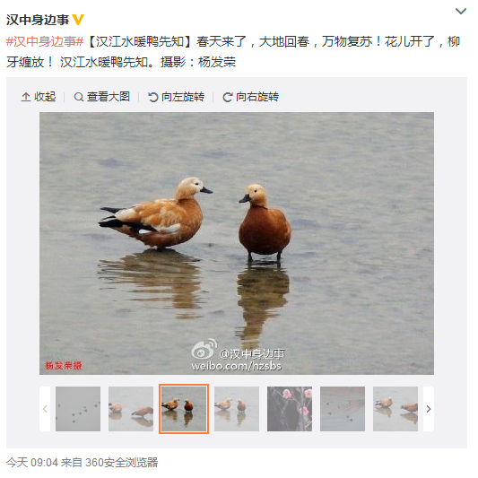QQ截圖20160225104106.png