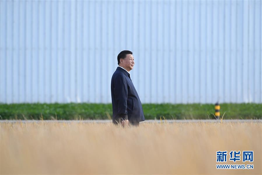 2018年9月25日,中共中央總書記、國家主席、中央軍委主席習(xí)近平抵達(dá)黑龍江省開始考察。這是習(xí)近平在黑龍江農(nóng)墾建三江管理局了解糧食生產(chǎn)和收獲情況。 新華社記者燕雁攝 2018年9月25日,中共中央總書記、國家主席、中央軍委主席習(xí)近平抵達(dá)黑龍江省開始考察。這是習(xí)近平在黑龍江農(nóng)墾建三江管理局了解糧食生產(chǎn)和收獲情況。 新華社記者燕雁攝