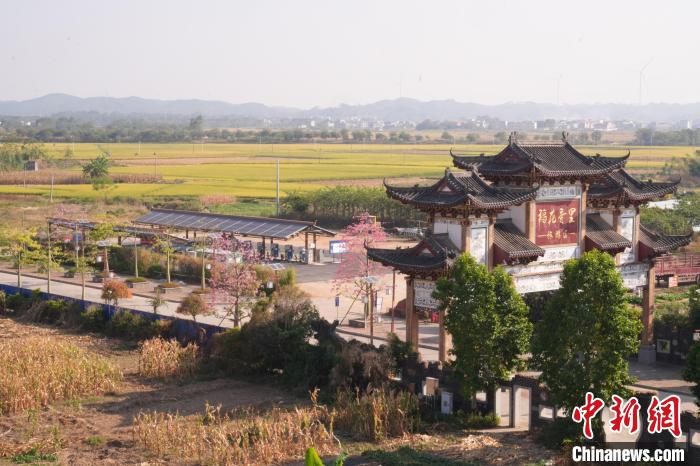 廣西賓陽縣首個風(fēng)光儲一體綜合能源站位于古辣鎮(zhèn)古辣社區(qū)。陳伯鑫 攝
