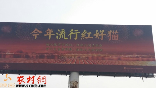 20141115053604114.jpg