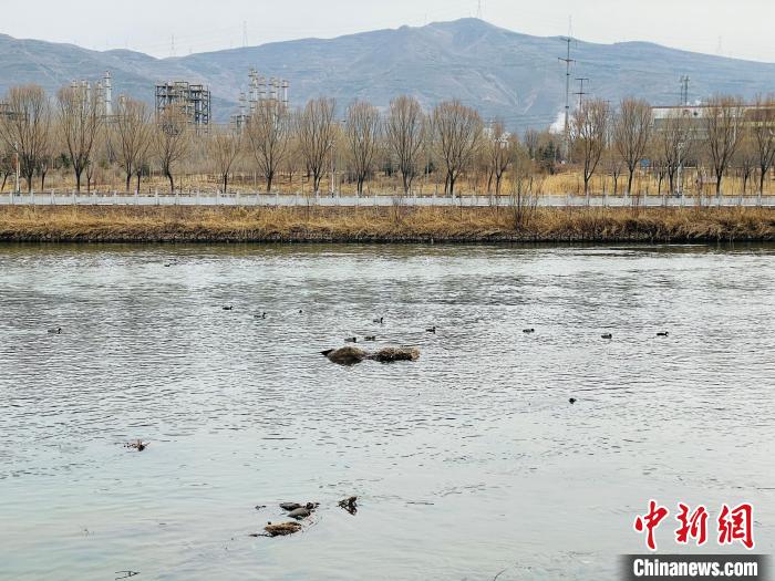 黃河上游最大支流湟水河水質(zhì)持續(xù)改善