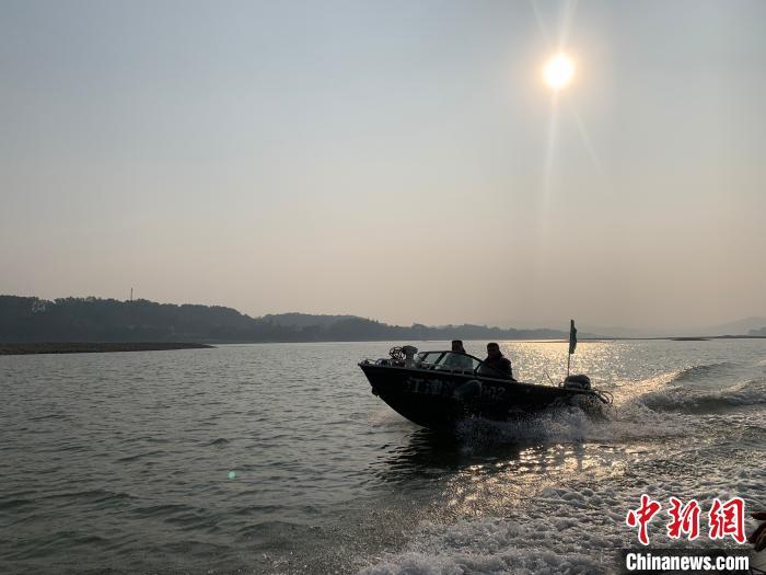 圖為日落時分,重慶江津區(qū)鴻鵠護漁志愿隊開展江上巡邏?!⊥蹑面?攝 圖為日落時分,重慶江津區(qū)鴻鵠護漁志愿隊開展江上巡邏。 王婷婷 攝
