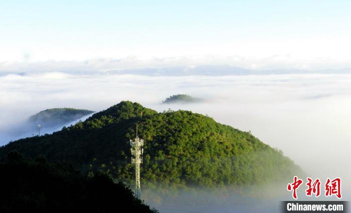 圖為無量山風光。云南省林業(yè)和草原局提供 圖為無量山風光。云南省林業(yè)和草原局提供