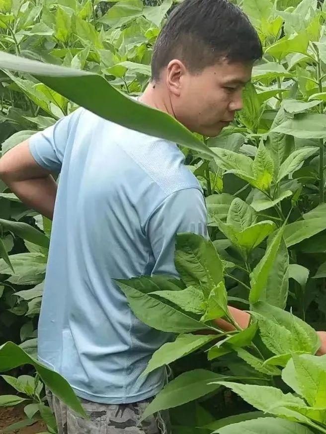 圖片 圖片