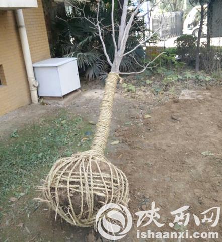 360截圖20141209143210492.jpg