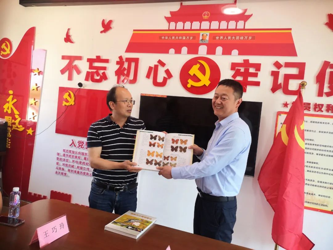 圖片