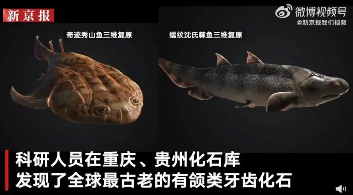 圖片 圖片