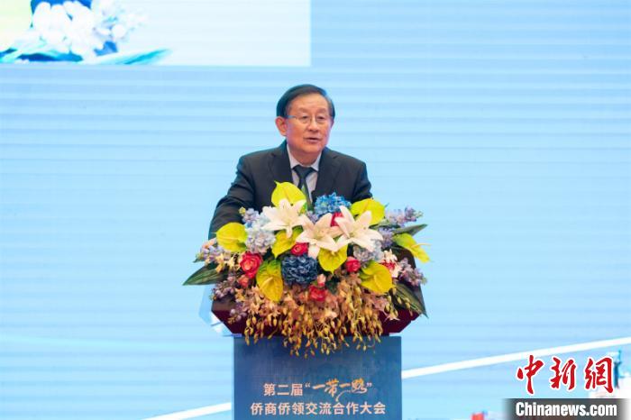 逾3200名僑商僑領企業(yè)家聚南寧共享“一帶一路”建設新商機