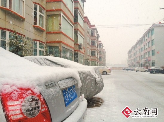暴雪