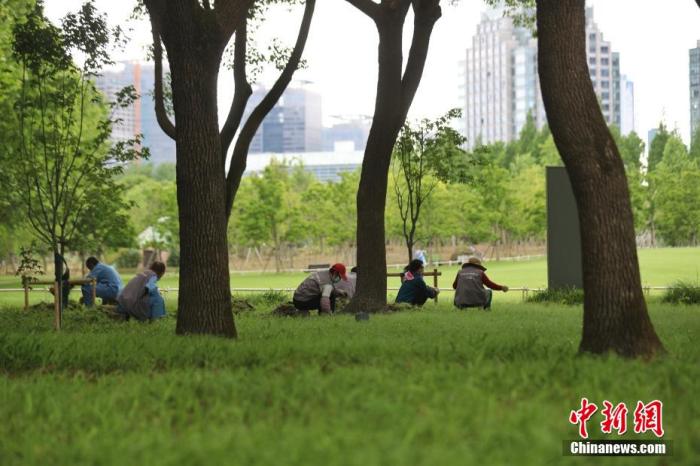 工作人員正在進(jìn)行除草。 張亨偉 攝 點(diǎn)擊進(jìn)入下一頁
