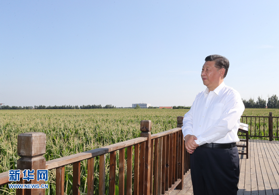 2020年7月22日至24日,中共中央總書記、國家主席、中央軍委主席習(xí)近平在吉林省考察。這是7月22日下午,習(xí)近平考察四平市梨樹縣國家百萬畝綠色食品原料(玉米)標(biāo)準(zhǔn)化生產(chǎn)基地核心示范區(qū)地塊。 新華社記者 鞠鵬 攝 2020年7月22日至24日,中共中央總書記、國家主席、中央軍委主席習(xí)近平在吉林省考察。這是7月22日下午,習(xí)近平考察四平市梨樹縣國家百萬畝綠色食品原料(玉米)標(biāo)準(zhǔn)化生產(chǎn)基地核心示范區(qū)地塊。 新華社記者 鞠鵬 攝