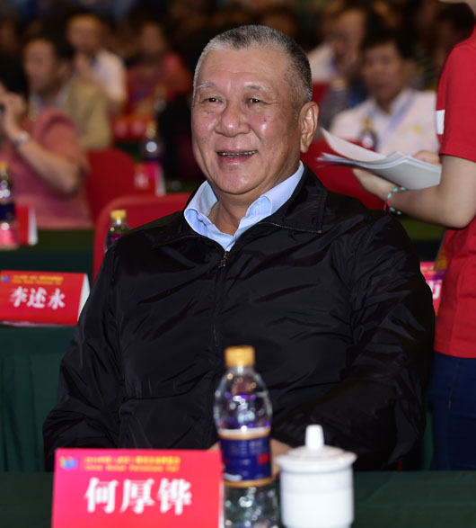 全國政協(xié)副主席何厚鏵