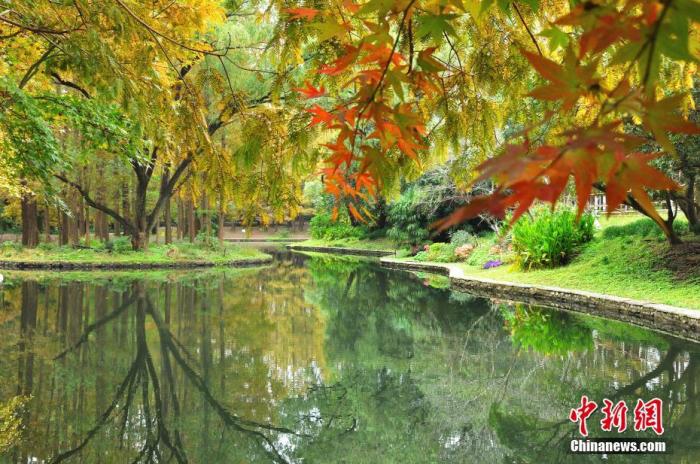 資料圖:上海市共青森林公園風(fēng)景如畫。<a target='_blank' href='/'>中新社</a>發(fā) 周東潮 攝 圖片來源:CNSPHOTO 點擊進入下一頁