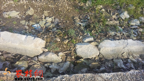 20141203011836493.jpg