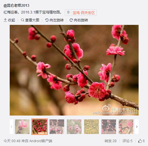 QQ截圖20160302100305.png