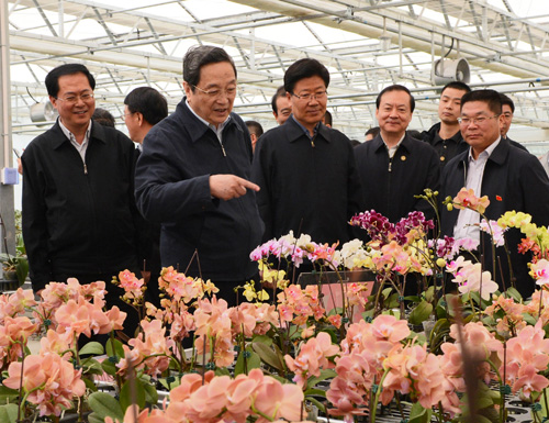 3月28日，俞正聲在兵團第一師阿拉爾市國家級現(xiàn)代農(nóng)業(yè)示范區(qū)10團“南果北種”基地調(diào)研。（李楊攝）