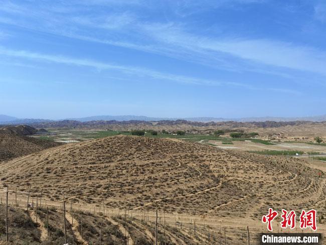 4月底,正在建設(shè)中的45萬畝“平川區(qū)國家儲備林項(xiàng)目”?!●T志軍 攝 4月底,正在建設(shè)中的45萬畝“平川區(qū)國家儲備林項(xiàng)目”?!●T志軍 攝