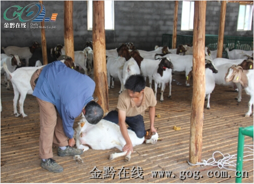 QQ截圖20140611100308.jpg