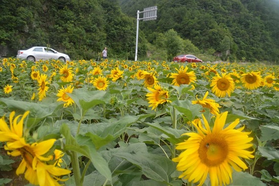 QQ圖片20160715141915.jpg