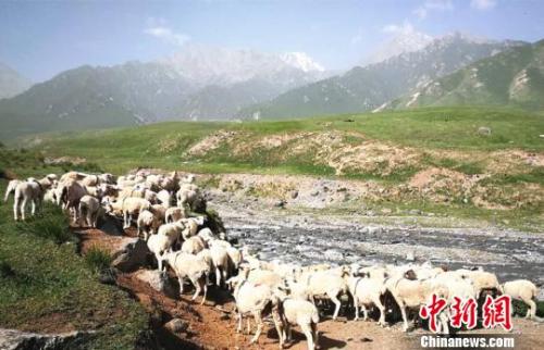 資料圖:夏日的祁連山風景如畫。 郎文瑞攝 資料圖:夏日的祁連山風景如畫。 郎文瑞攝