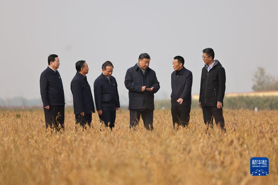 2021年10月22日下午,中共中央總書記、國家主席、中央軍委主席習(xí)近平在山東省濟(jì)南市主持召開深入推動(dòng)黃河流域生態(tài)保護(hù)和高質(zhì)量發(fā)展座談會(huì)并發(fā)表重要講話。這是座談會(huì)前,習(xí)近平21日上午在東營市黃河三角洲農(nóng)業(yè)高新技術(shù)產(chǎn)業(yè)示范區(qū)考察時(shí),走進(jìn)田間察看大豆長勢(shì)。 2021年10月22日下午,中共中央總書記、國家主席、中央軍委主席習(xí)近平在山東省濟(jì)南市主持召開深入推動(dòng)黃河流域生態(tài)保護(hù)和高質(zhì)量發(fā)展座談會(huì)并發(fā)表重要講話。這是座談會(huì)前,習(xí)近平21日上午在東營市黃河三角洲農(nóng)業(yè)高新技術(shù)產(chǎn)業(yè)示范區(qū)考察時(shí),走進(jìn)田間察看大豆長勢(shì)。