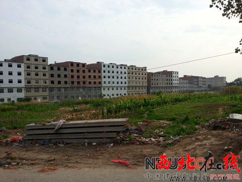 20141103102425303.jpg