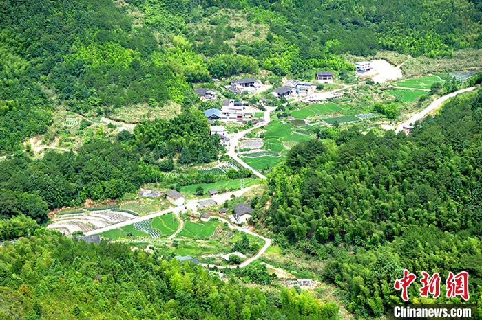 圖為6月30日,福建省三明市,綠意盎然的小山村。<a target='_blank' >中新社</a>記者 張斌 攝 點(diǎn)擊進(jìn)入下一頁