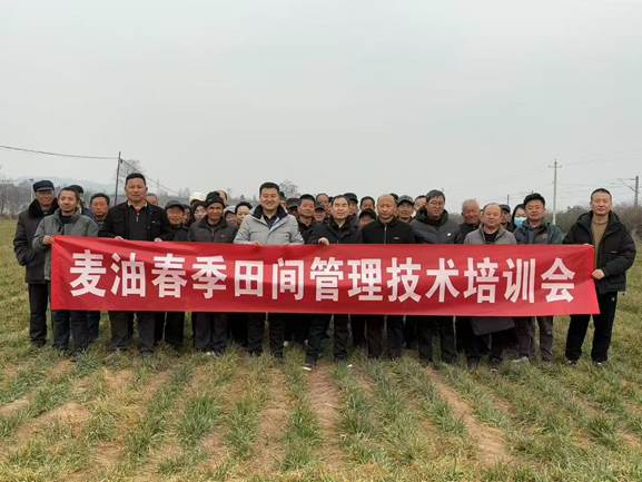圖示, 示意圖 中度可信度描述已自動(dòng)生成:ver1