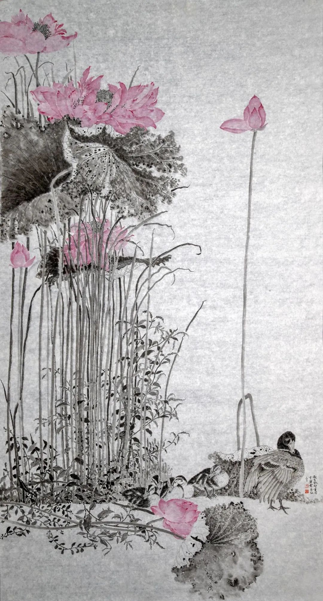 圖片