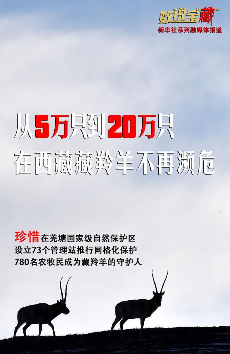 點擊進(jìn)入下一頁 點擊進(jìn)入下一頁