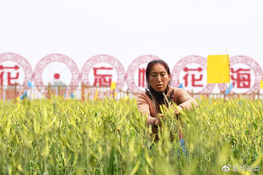 點擊進入下一頁 點擊進入下一頁