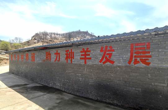圖示, 示意圖 中度可信度描述已自動生成:ver1