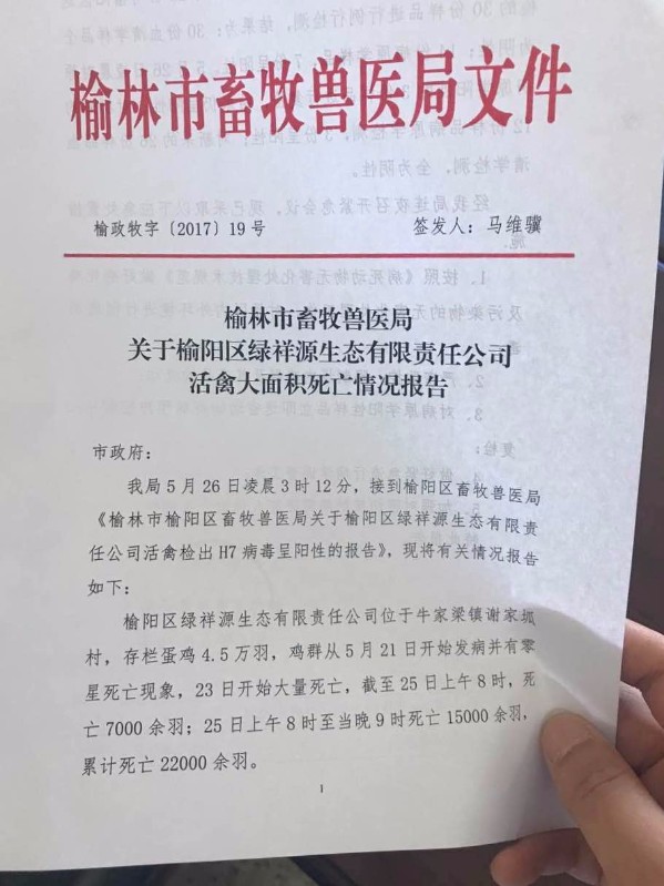 14957683249399130.jpg