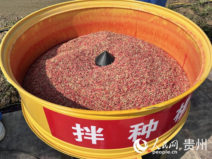 貴陽(yáng)市堰塘村農(nóng)機(jī)作業(yè)現(xiàn)場(chǎng),拌種機(jī)正在運(yùn)轉(zhuǎn)。人民網(wǎng) 陳潔泉攝