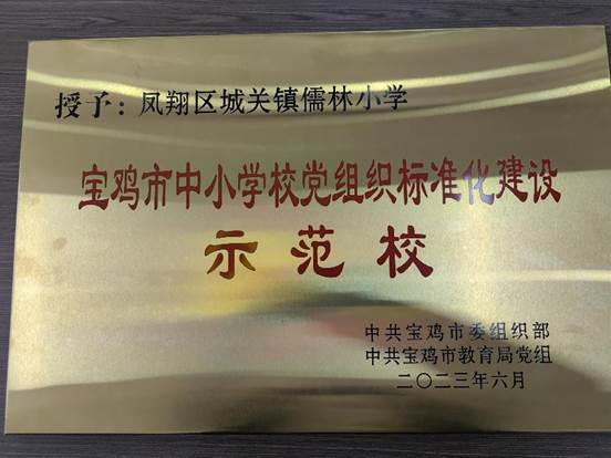 市級黨組織示范校