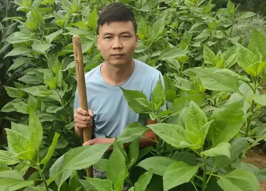 圖片 圖片