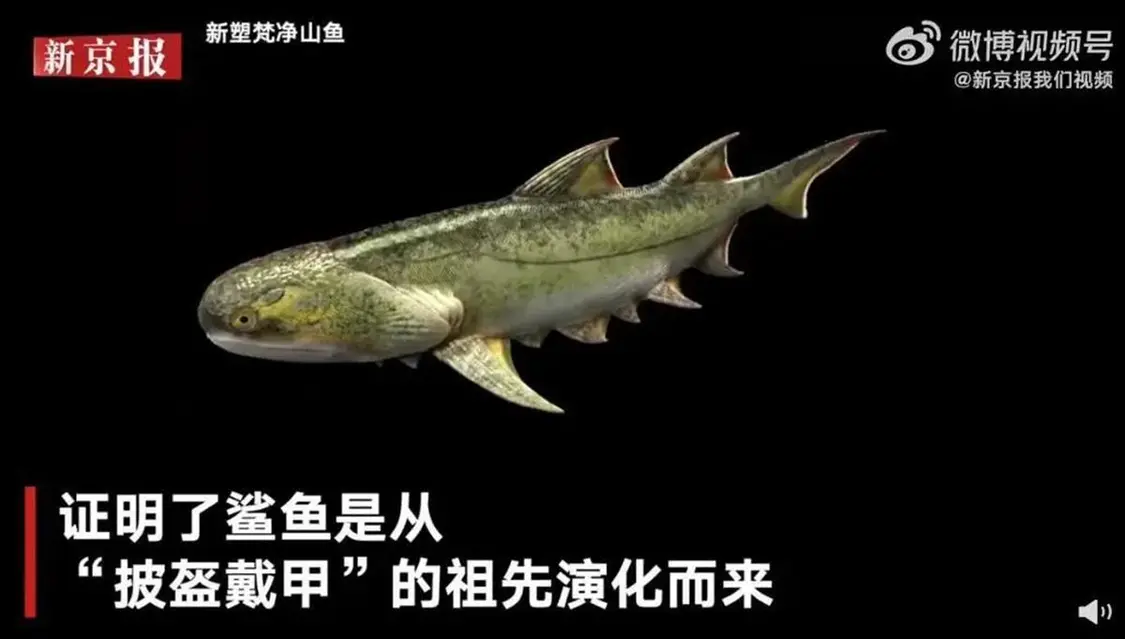 圖片 圖片