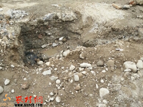 20141201102824809.jpg