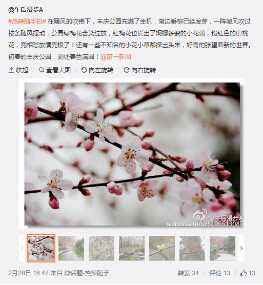 QQ截圖20160301095008.png