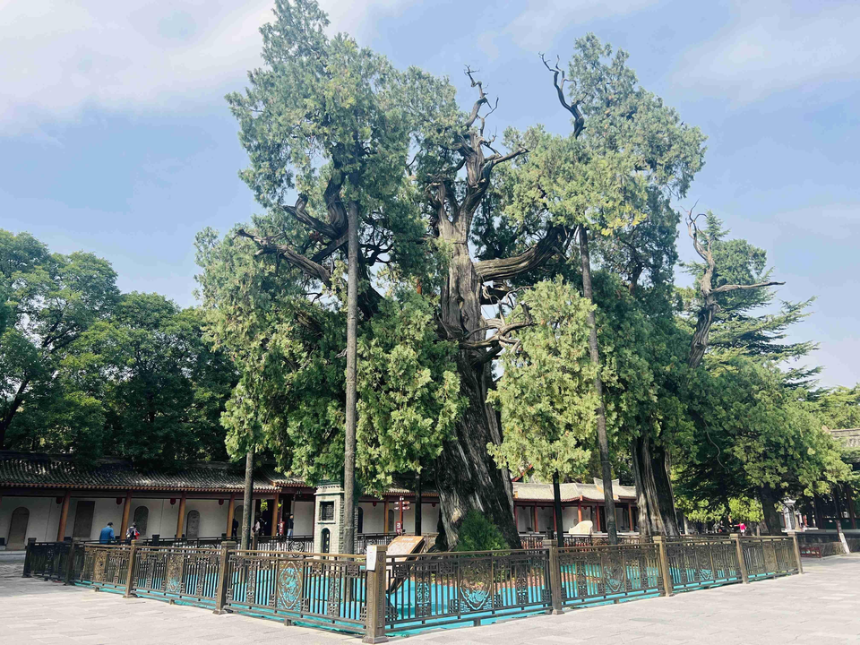 在陜北讀懂中國(guó) 10國(guó)外籍專家即將打卡陜西 在陜北讀懂中國(guó) 10國(guó)外籍專家即將打卡陜西