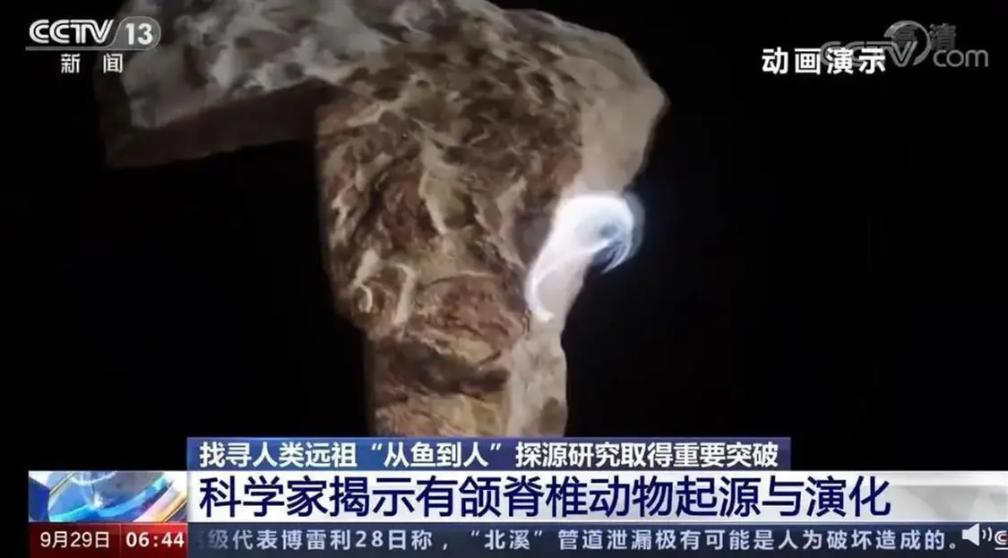 圖片 圖片
