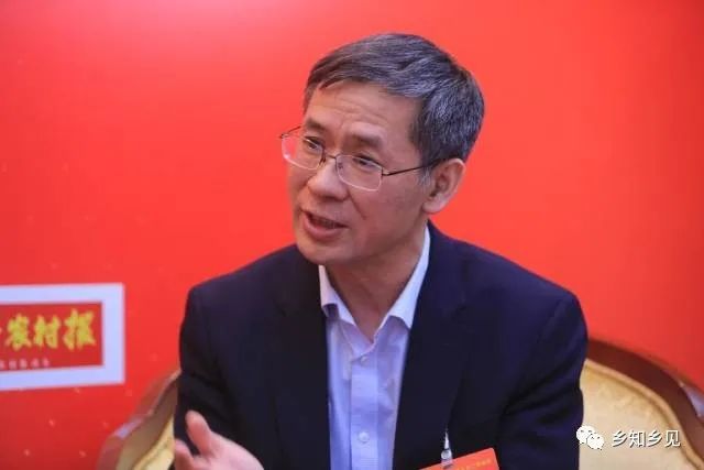 中國社會科學院農村發(fā)展研究所所長、研究員魏后凱 圖片