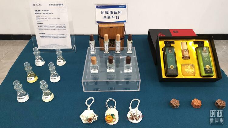 時政新聞眼丨踏訪萬里長江第一城,習(xí)近平調(diào)研這些重要命題