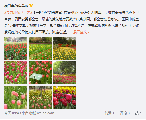 QQ截圖20160311163259.png