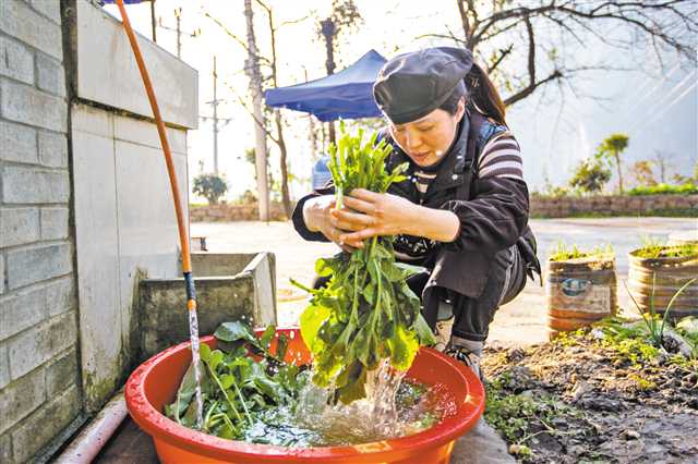 1月12日,巫山縣竹賢鄉(xiāng)下莊村,楊慈正在自家農(nóng)家樂(lè)里洗菜備餐。